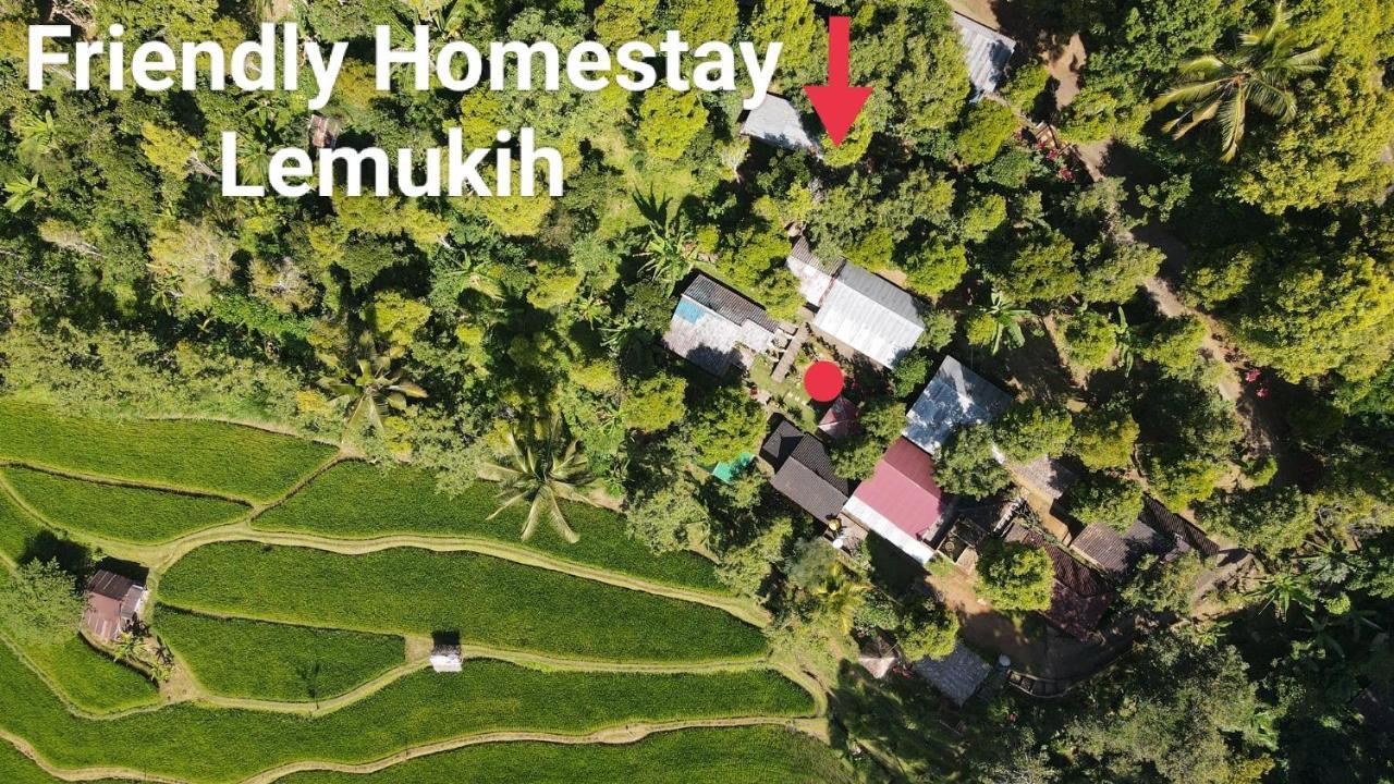 Friendly Homestay Lemukih Singaraja Exterior foto