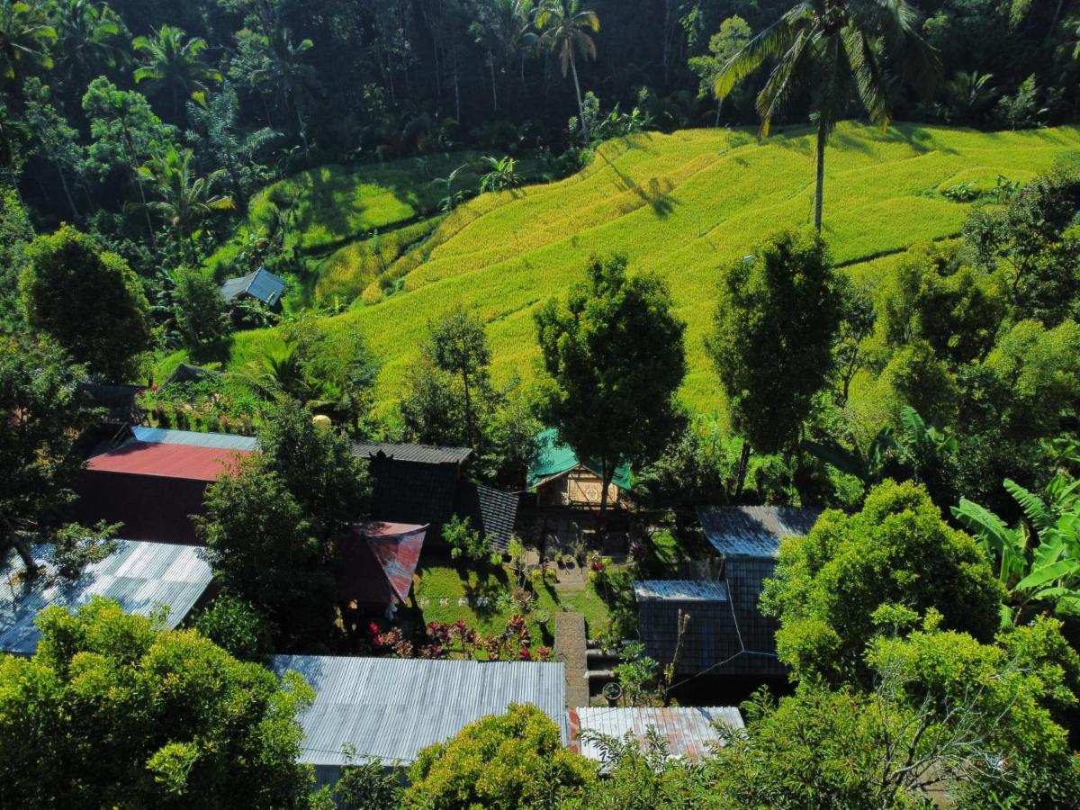 Friendly Homestay Lemukih Singaraja Exterior foto